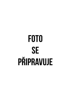 Sirup - ledový čaj - broskev, pivoňka 0,75l